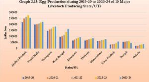 what is the literacy rate of west bengal