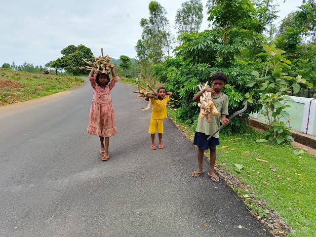 Future of the school dropouters in India