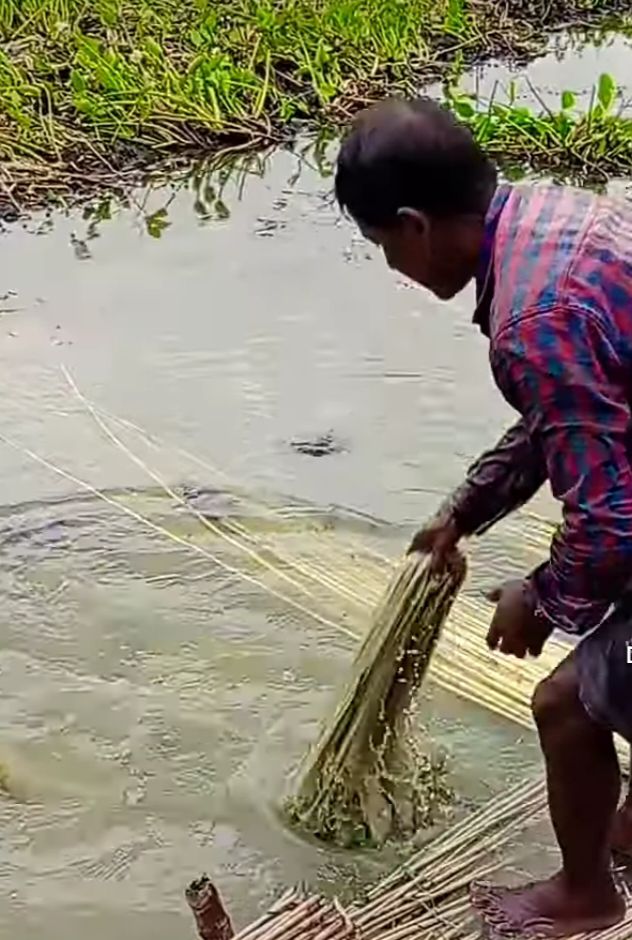 Past and present of the jute industry in West Bengal
