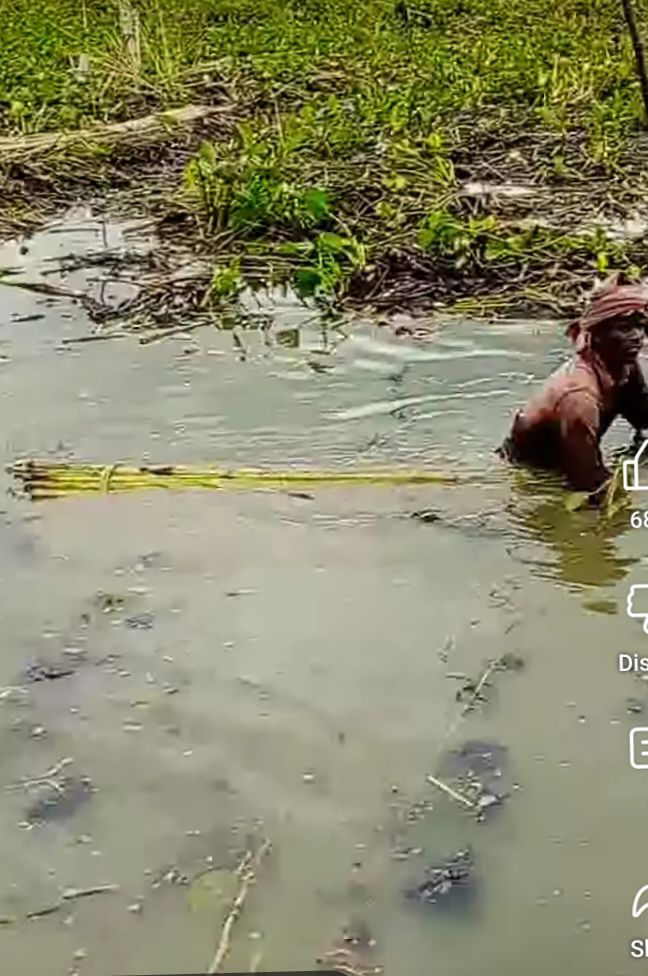 Past and present of the jute industry in West Bengal