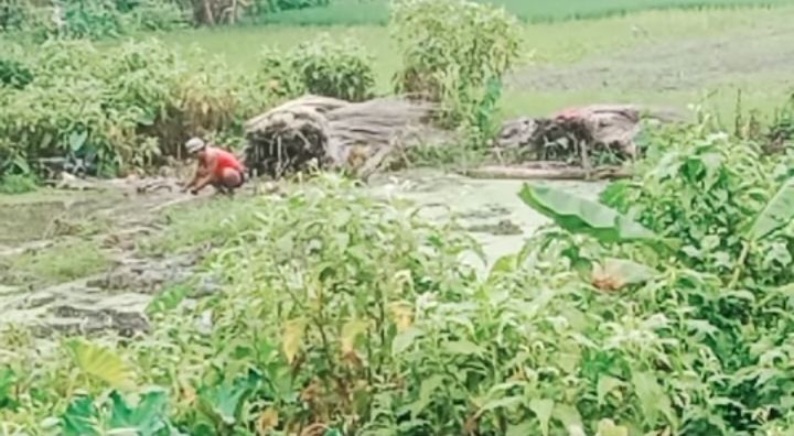 Past and present of the jute industry in West Bengal