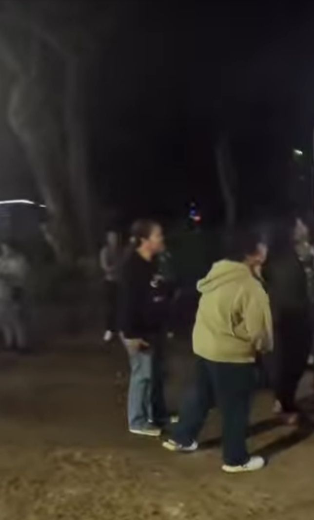 Night Market Street Food