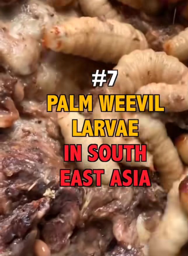 Street Food Around the World