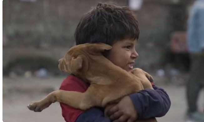 Street children struggles