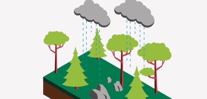 Climate Change and India’s Worsening Urban Heat