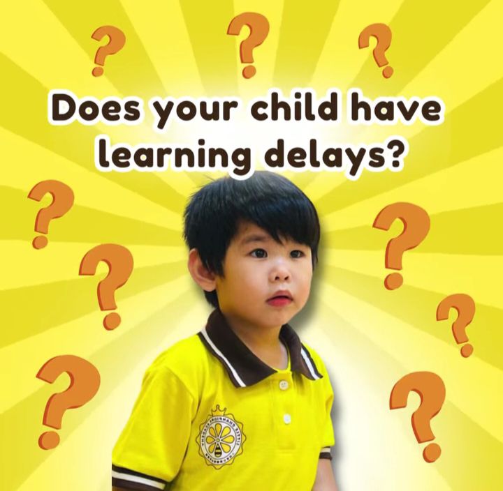 Online Learning Challenges for Students