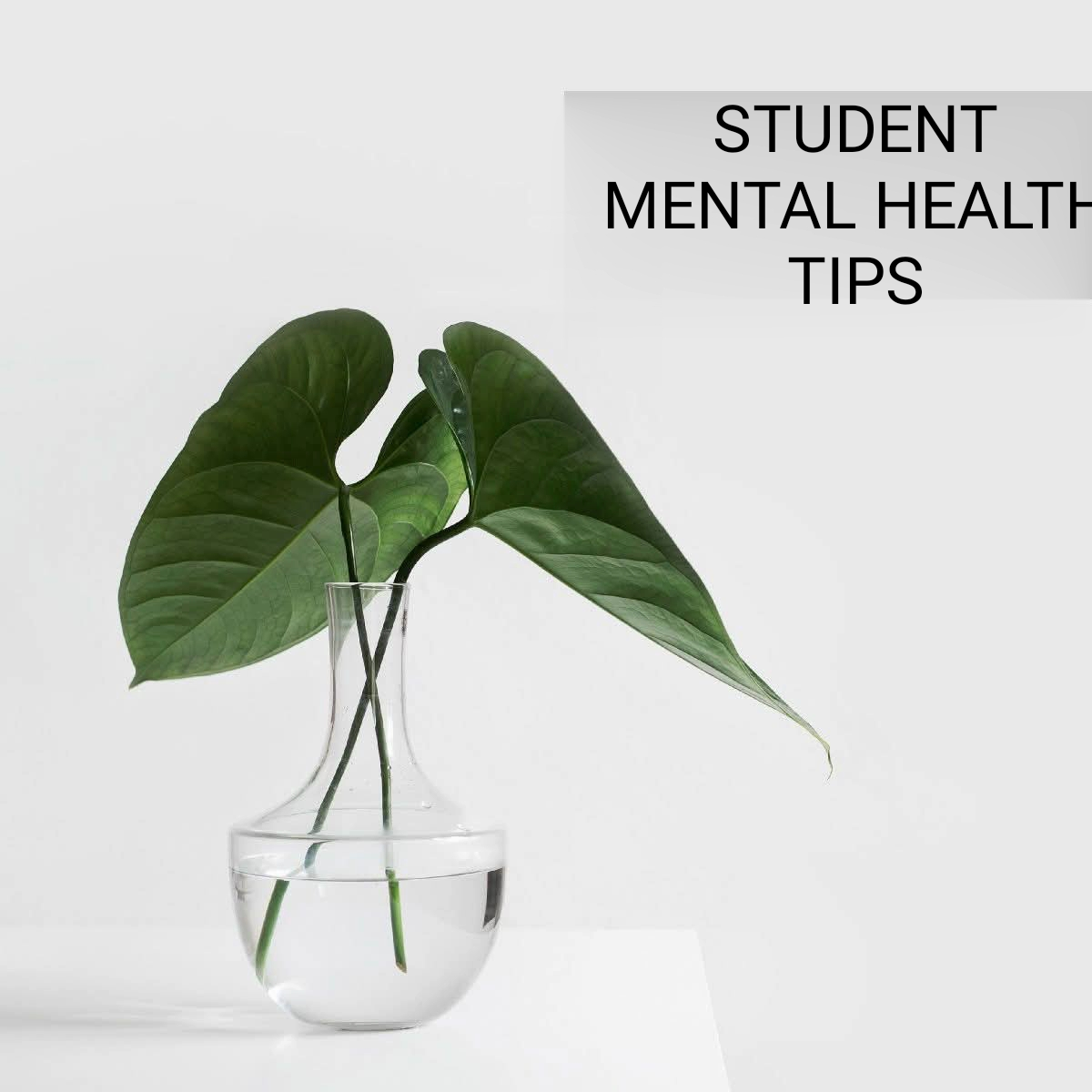 STUDENT MENTAL HEALTH TIPS