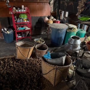 Andh Tribe Culture in India