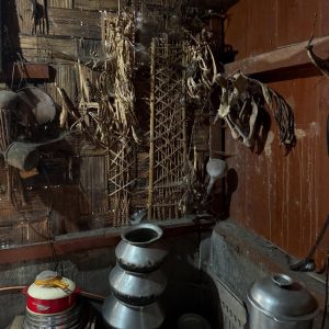 Andh Tribe Culture in India