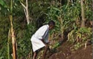 Chutiya Tribe Culture in India