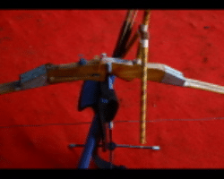 The Sugali Tribes Culture in India