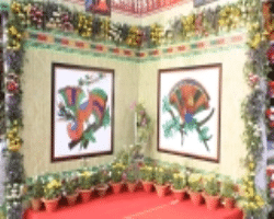 The Bagatha Tribe Culture in India