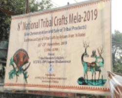 Apatani Tribe Culture in India