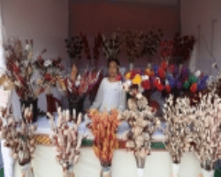 The Chenchus Tribe Culture of India