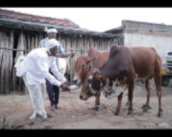 Galo Tribe Culture in India