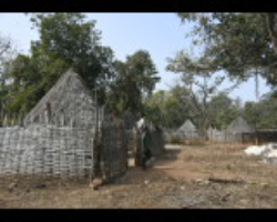 Singpho Tribe Cultlure in india