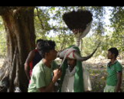 Momba (Monpa) Tribe Culture in India