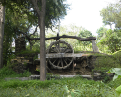 Dimasa Tribe Culture in India