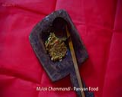 Sentinelese Tribe in India