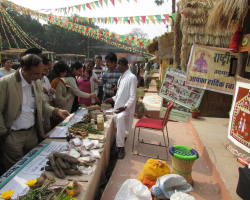 The Gante tribe culture in India