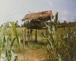 The Gante tribe culture in India