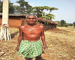 Kanikar Tribe Tribe Culture in India
