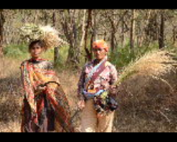 Nagasia Tribe Culture in India