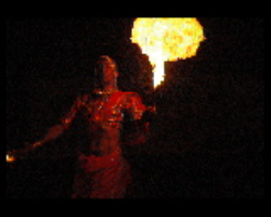 Charan Tribe Culture in India