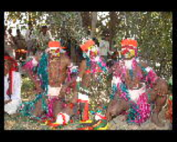 Aranadan Tribe Culture in India