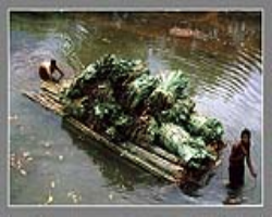 Agariya Tribe Culture in India
