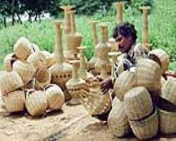 Nagasia Tribe Culture in India