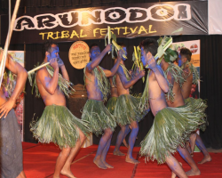 Kadar Tribe Culture in India