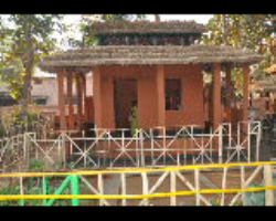 Kadar Tribe Culture in India