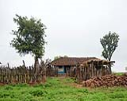 Bhaina Tribe Culture in India