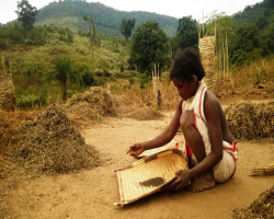 Abujh Marias Tribe Culture in India