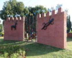 Baiga Tribe Culture in India