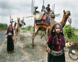 Sustainable Living Lessons from Tribes in India