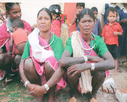 The Gaddi Tribe of India