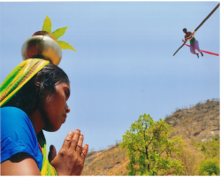 The Gaddi Tribe of India