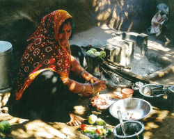 The Gaddi Tribe of India