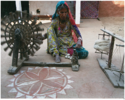 The Gaddi Tribe of India