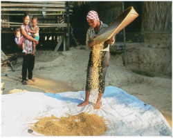 Patelia Tribe culture in India