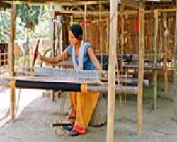 Arandan Tribe Culture in India