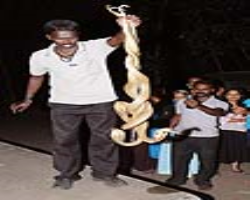 Oraons Tribe Culture in India