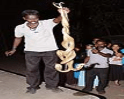 Adiyan Tribe Culture in India