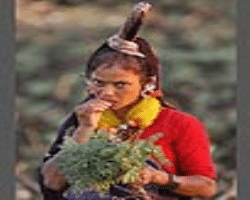 Iruliga Tribe Culture in India