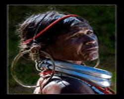 Purigpa Tribe Culture in India
