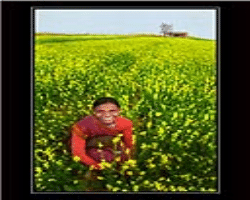 Purigpa Tribe Culture in India