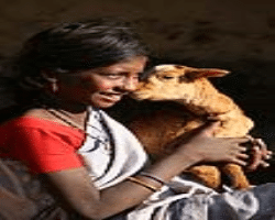Sippi Tribe Culture in India
