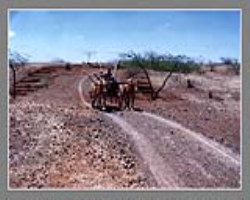 Swangla Tribe Culture in India